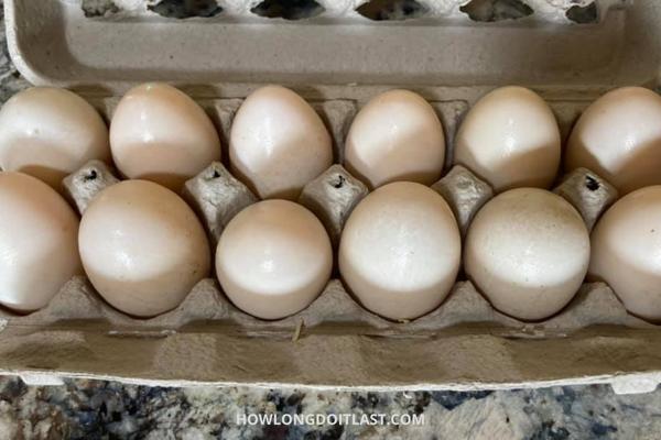 Duck Eggs Storage Method & Shelf Life