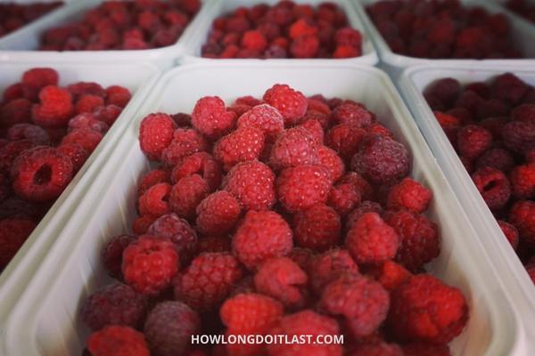 How Long Do Raspberries Last? (Fridge, Freezer & Counter)