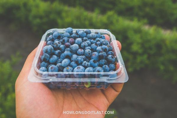 How long does blueberries last in fridge, freezer.